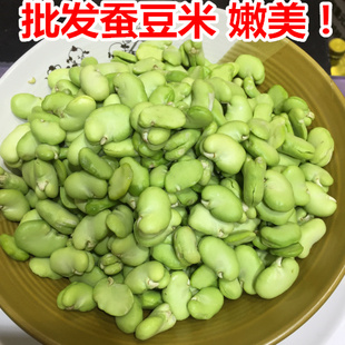 绿色食品 宣城绿色食品新鲜蔬菜农家自种青蚕豆米 有机蔬菜餐厅批发