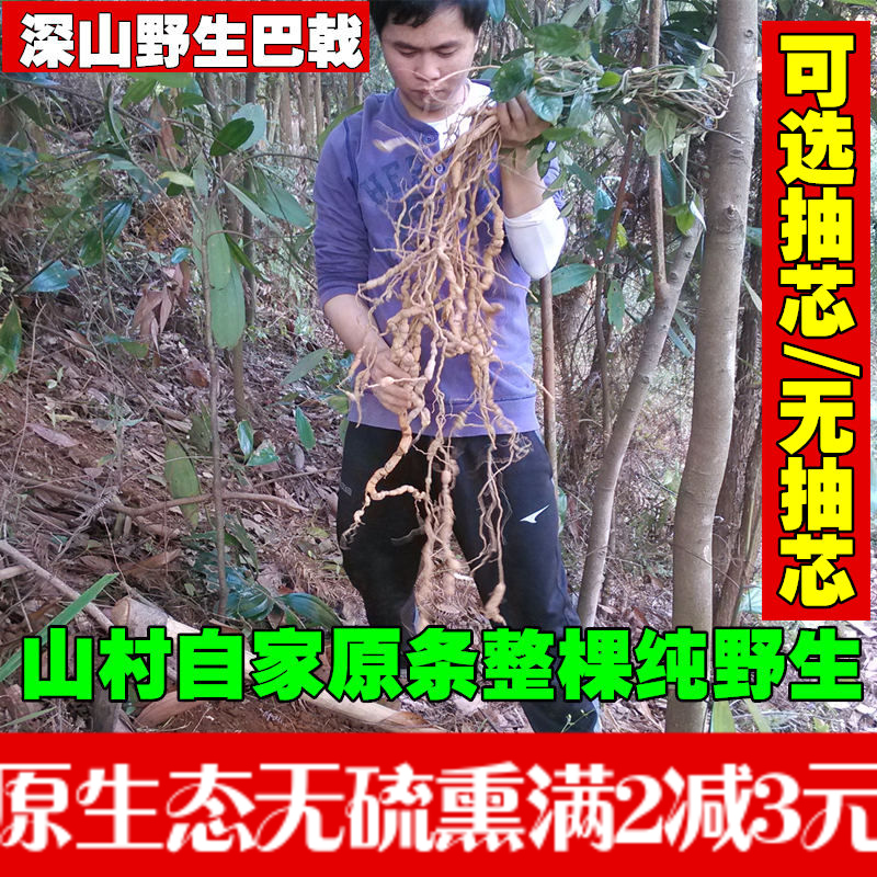 正宗高要巴戟天 深山野生巴戟 鸡肠风250克 配肉苁蓉锁阳黄精更佳