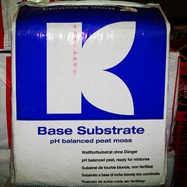 推荐最新德国足球队介绍 德国足球队英文介绍