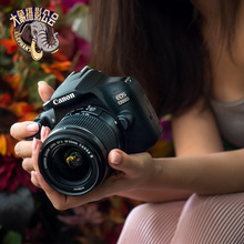 EOS 1300D带WIFI 单反相机 大象摄影 佳能入门级高清数码 Canon