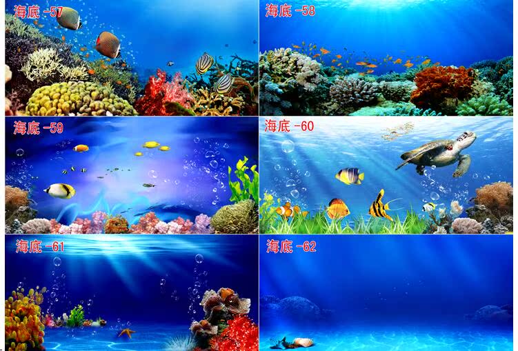 高清鱼缸背景画定做制海底世界水族装饰画壁画造景图鱼缸壁纸贴纸