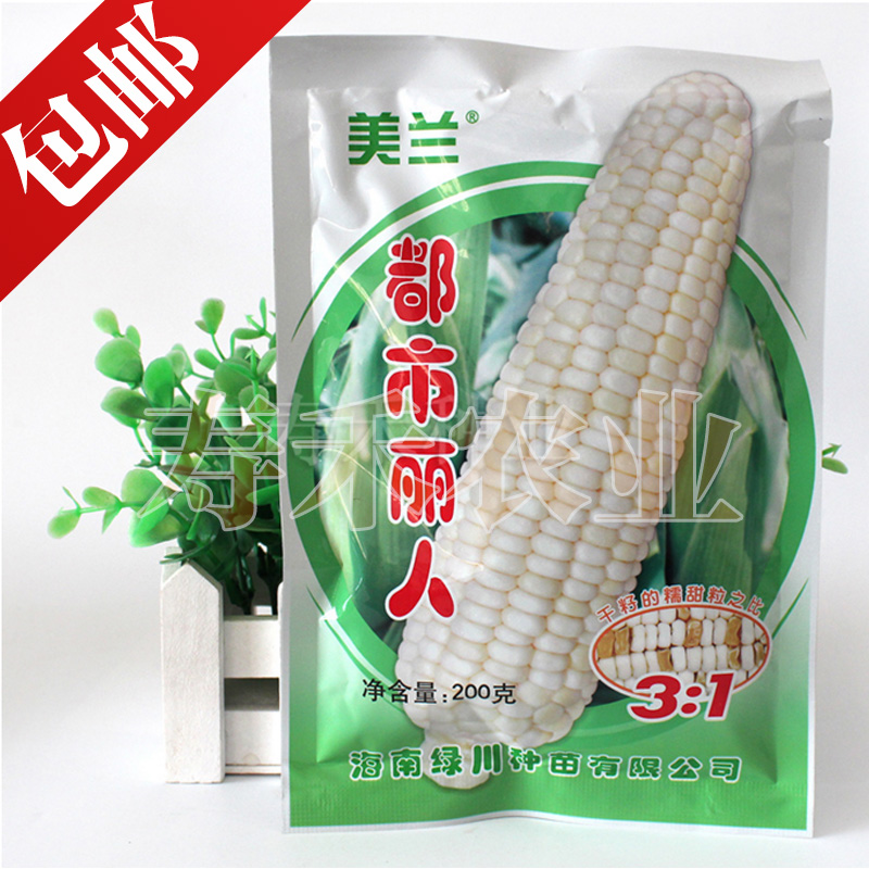 中品白甜糯【农科院杂交白糯玉米种子】蔬菜籽超香甜糯春秋满包邮