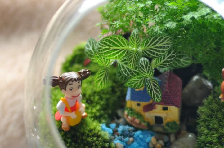 苔藓微景观生态瓶 办公室植物创意迷你盆栽 微缩景观龙猫摆件