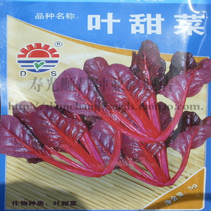 寿光蔬菜种子 补血奇效台湾红叶菠菜种子红梗种子 叶甜菜10克包邮