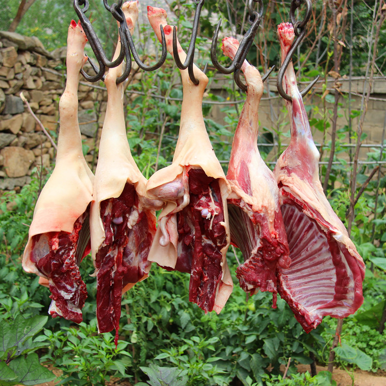 特价正宗散养新鲜带皮生羊肉特级羊排羊腿山羊肉现杀去骨黑山羊肉