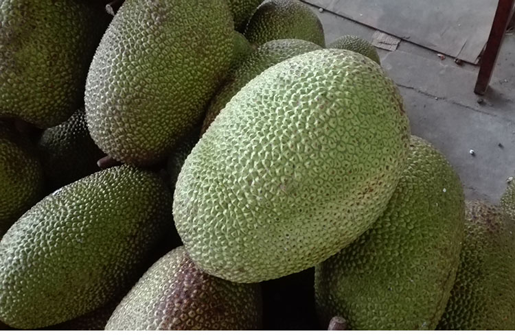 泰国红肉菠萝蜜新鲜 红心菠萝蜜 进口菠萝蜜木