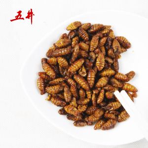 五井五香蚕蛹620g