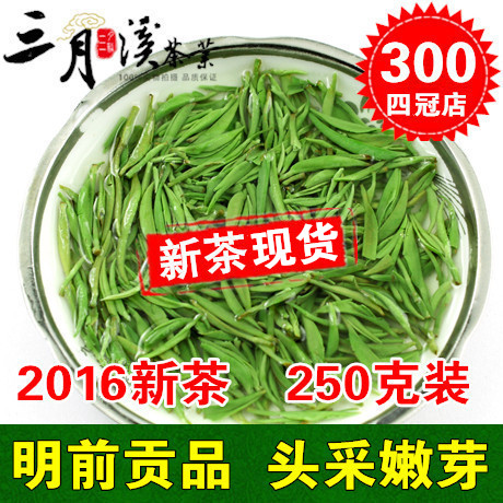 【现货】绿茶信阳毛尖2016年新茶叶明前贡品头采嫩芽茶农直销250g