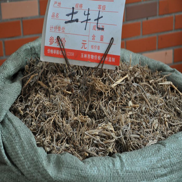 土牛膝 蔡鼻草、土牛七 倒扣草根、倒扣筋 倒钩草
