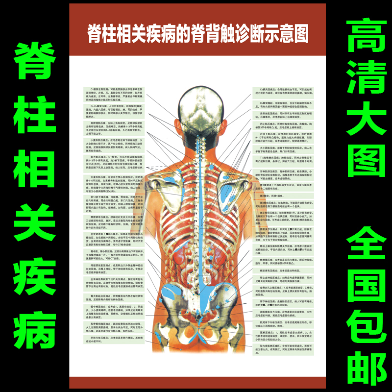 脊柱颈椎腰椎间盘突出疾病示意图人体经络穴位图中医养生按摩海报