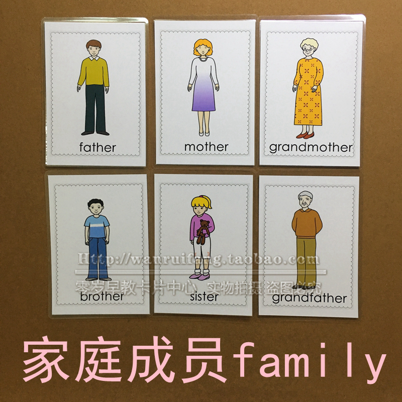 家庭成员family英语彩图分类单词卡英文闪卡幼儿启蒙早教卡片教具