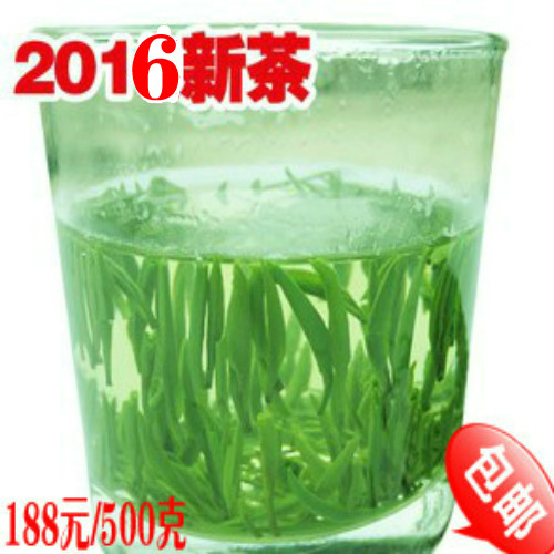 2016年新茶叶川马雪芽绿茶 四川峨眉山明前春茶 特级雀舌500g包邮