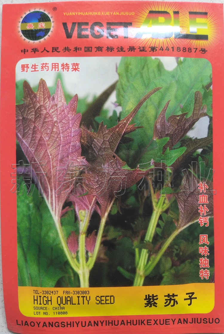 紫苏种子 紫苏子补血补钙 养生保健菜厨房香草种子特异的芳香杀菌