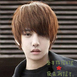 包邮 江姐假发 短发 女 发型红歌会舞台大合唱b