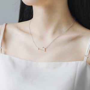 s925纯银十二星座项链