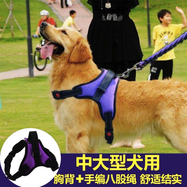 狗狗胸背带牵引绳项圈中大型犬金毛阿拉斯加拉布拉多哈士奇狗链子