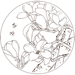 玉兰白描底稿工笔画线描底图国画黑白画稿作业画花鸟底稿电子版