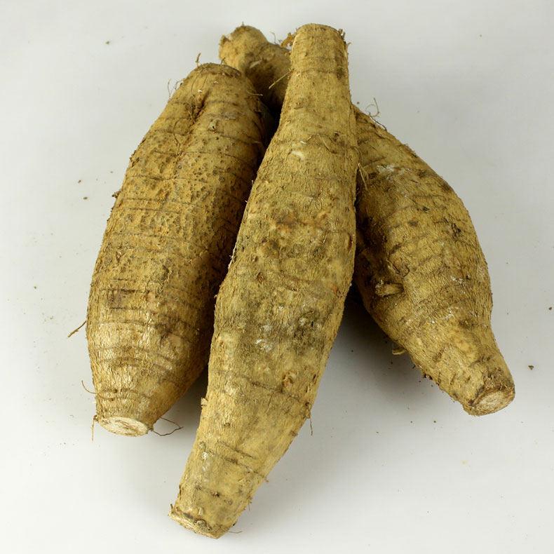 广西桂林现挖新鲜葛根农产品粉葛根蔬菜水果柴葛根清甜粉糯5斤装