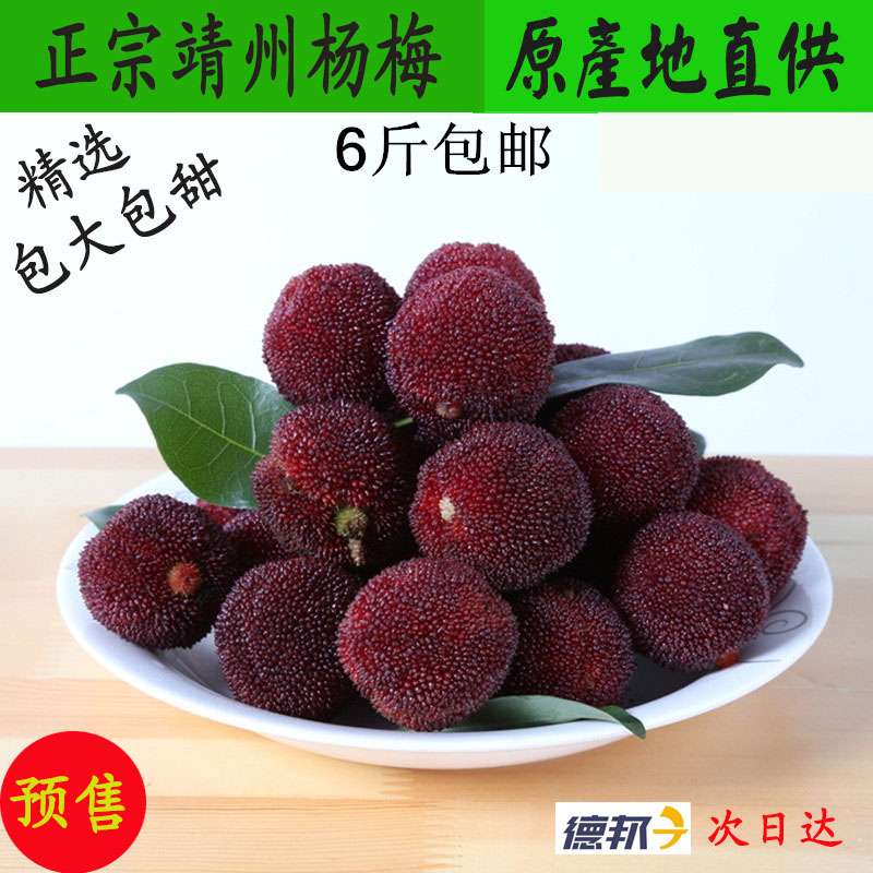 正宗湖南怀化靖州特产新鲜杨梅水果现摘现发乌梅木洞东魁6斤包邮