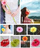 旅拍外景摄影道具仿真花非洲菊单支长杆扶郎影楼拍照婚纱写真花