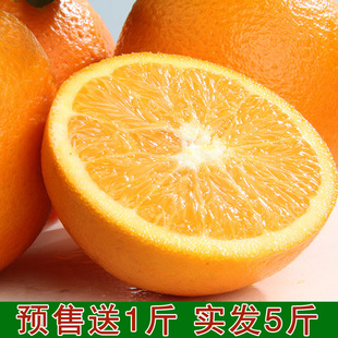 【下单送1斤】新鲜天然水果脐橙子PK赣南秭归