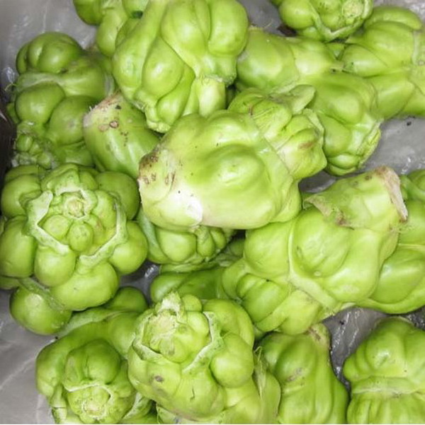 ڸեͷũͷǲ˽˸˲5װ
