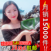 包邮 山东荣成特产盐渍厚海带头海带根丝野生新鲜5斤 海带世家