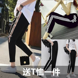 2017夏季薄款休闲裤女哈伦裤学生九分运动裤百搭显瘦条纹宽松裤子