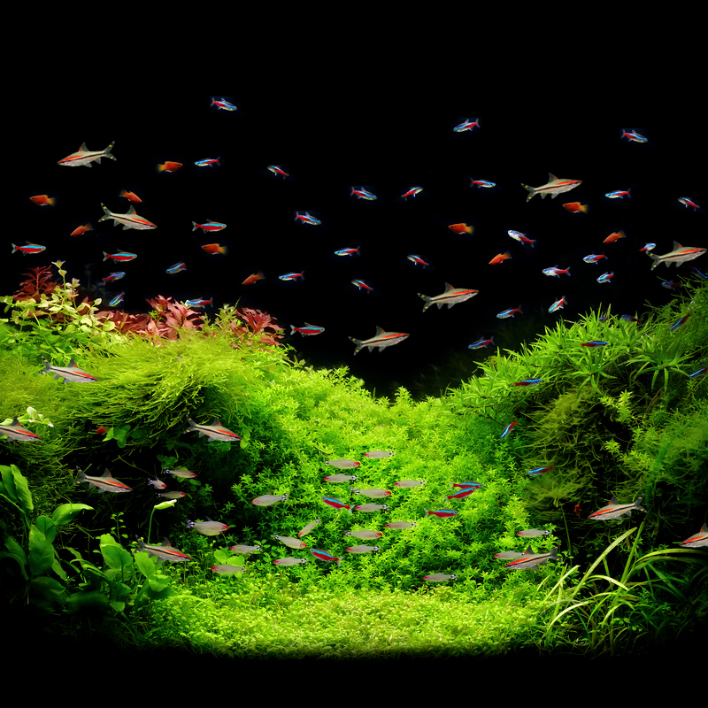 ȴˮݸ׵̵ƱСƿƵˮ