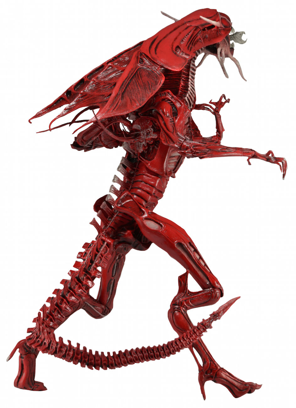 正版盒装neca15寸异形red alien红色异形母后漫画版可动手办模型