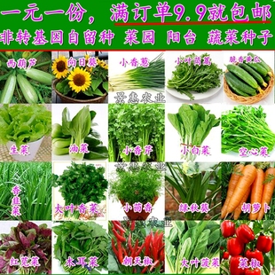 景惠农业 一元蔬菜种子套餐 四季播种 一元一份 蔬菜种子一站购齐