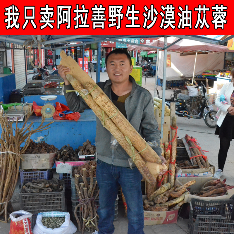 阿拉善野生肉苁蓉特级油大芸鲜干片锁阳切片泡茶泡酒料中药材100g