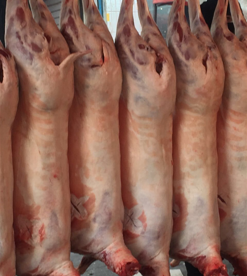 正宗青海藏系羊肉 清真整只带骨新鲜羊 生鲜白条羊肉30斤顺丰包邮