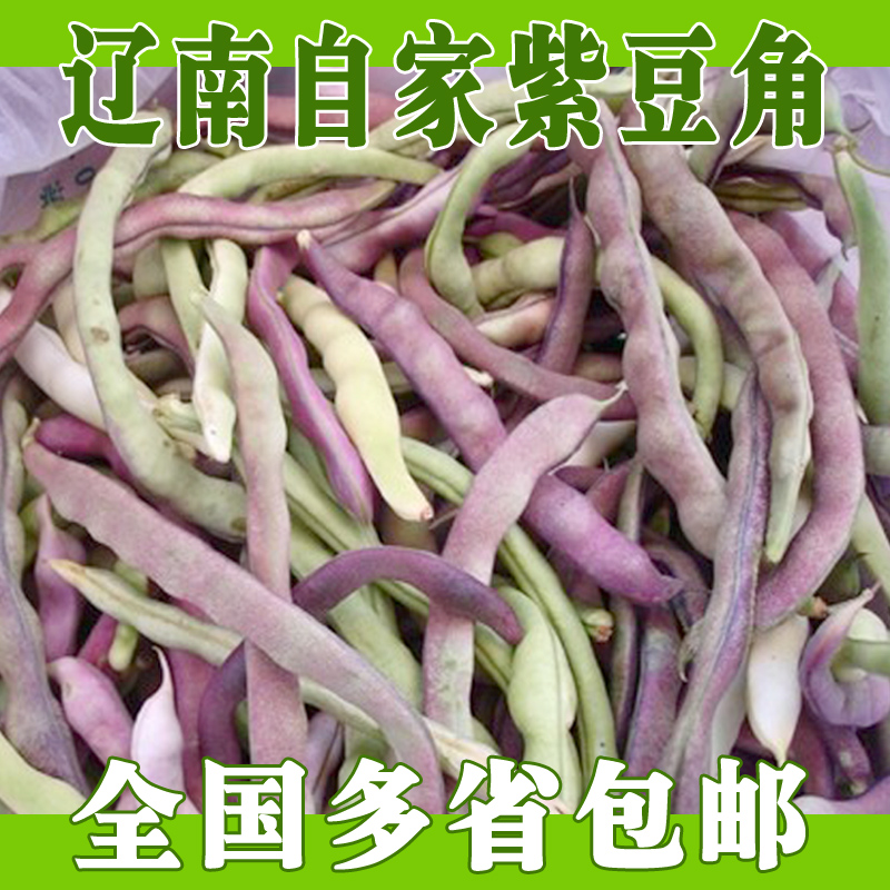 东北辽宁特产紫芸豆紫豆角自家种植绿色蔬菜4斤包邮