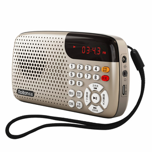 Rolton/乐廷 W105迷你音响随身听