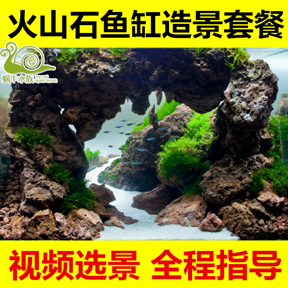 水族箱鱼缸造景装饰套餐水族造景石种子水草泥沉木火山石珊瑚树 ￥7.