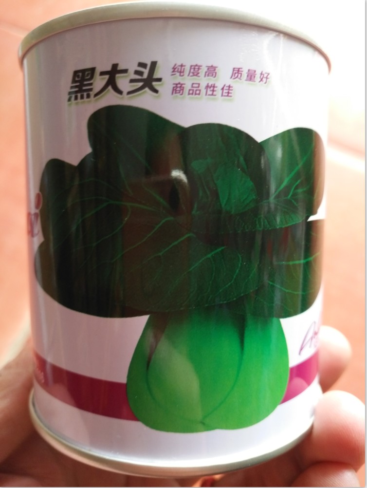 黑大头油菜种子 黑色小白菜 原种大叶黑大头青菜蔬菜种子瓜果种子图片