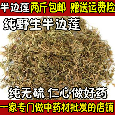 中药材半边莲 半边菊 500g 金菊草 吹风草 /满两斤包邮