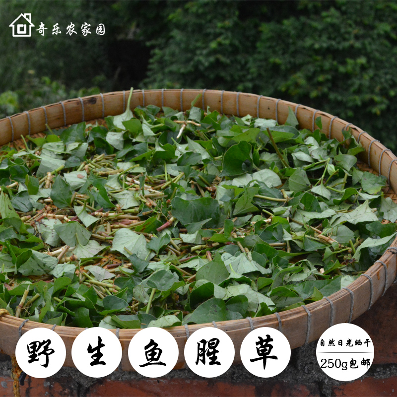 四川野生干鱼腥草凉茶 农家自晒新鲜纯天然折耳根干 250g包邮