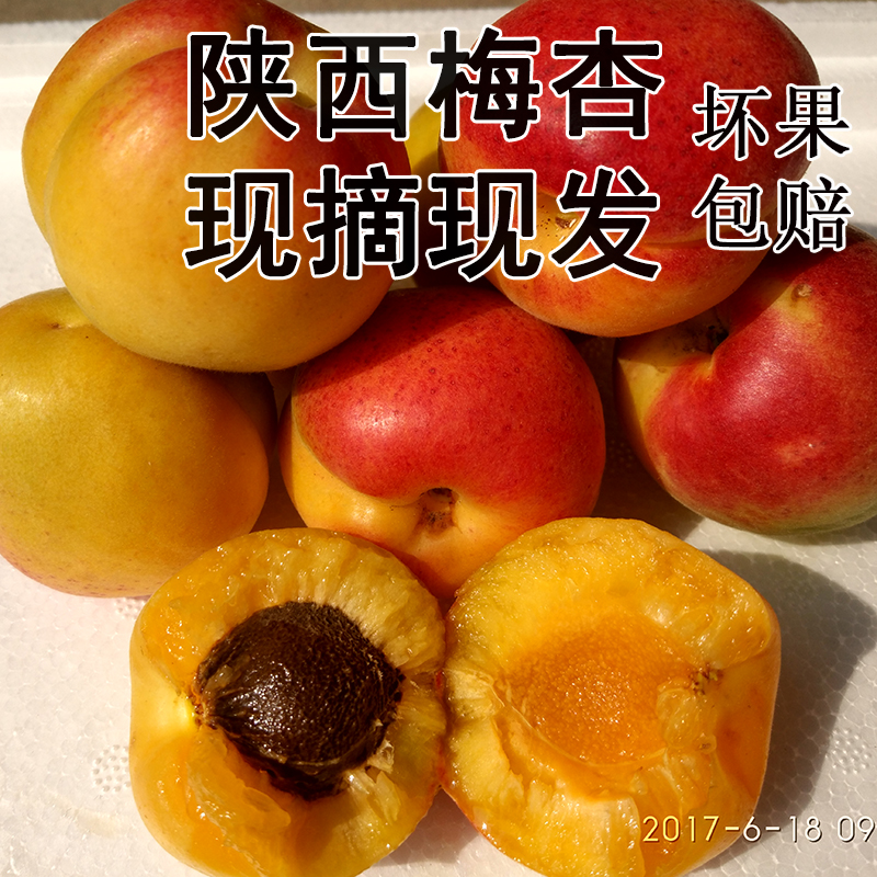 【天天特价】现货杏子现摘现发梅杏水果新鲜5斤包邮甜杏子新鲜