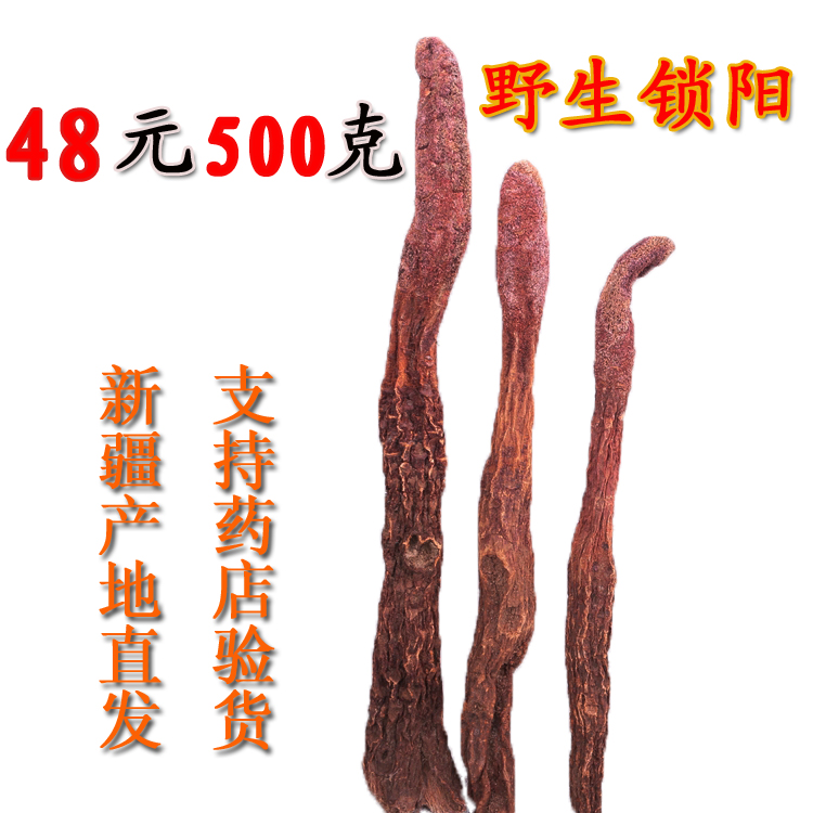 新疆锁阳 野生中药材金锁阳 配肉苁蓉 泡茶泡酒500g 全国包邮