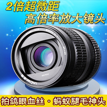 老蛙60MM2倍微距镜头F2.8微单反人像定焦全幅媲百微105mm花卉昆虫