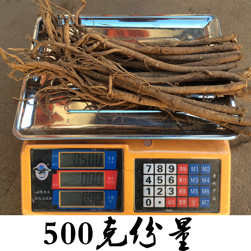 新鲜黄芪大条2016年新产黄芪原条带土现拍现货新鲜正北芪无硫黄氏