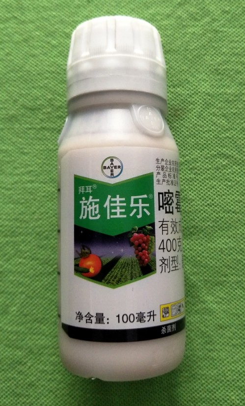 拜耳施佳乐 40%嘧霉胺 番茄黄瓜葡萄灰霉早疫病进口杀菌剂100ml