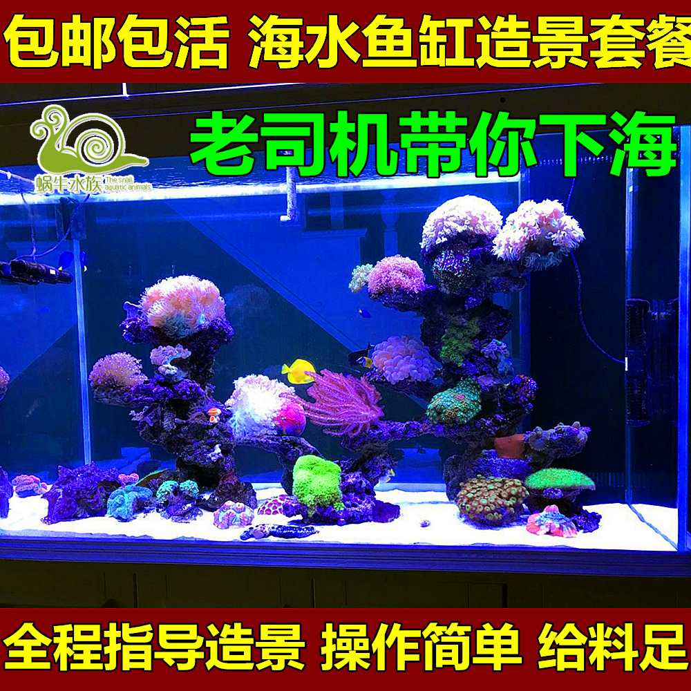 海水鱼缸水族箱造景装饰套餐高钙活石珊瑚海缸水族造景石水草