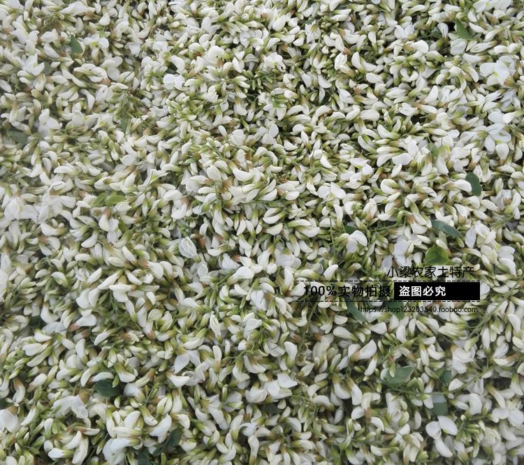 野生干洋槐花刺槐花槐花茶槐树花槐花菜干菜生槐花500g包邮