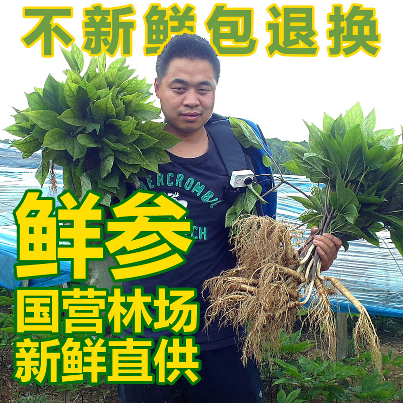 包邮崇参带土鲜参吉林长白山人参新鲜人参东北保鲜参野人参白参
