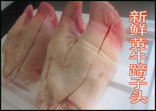 ʻţ ţ ţ ëţ ţ ţ