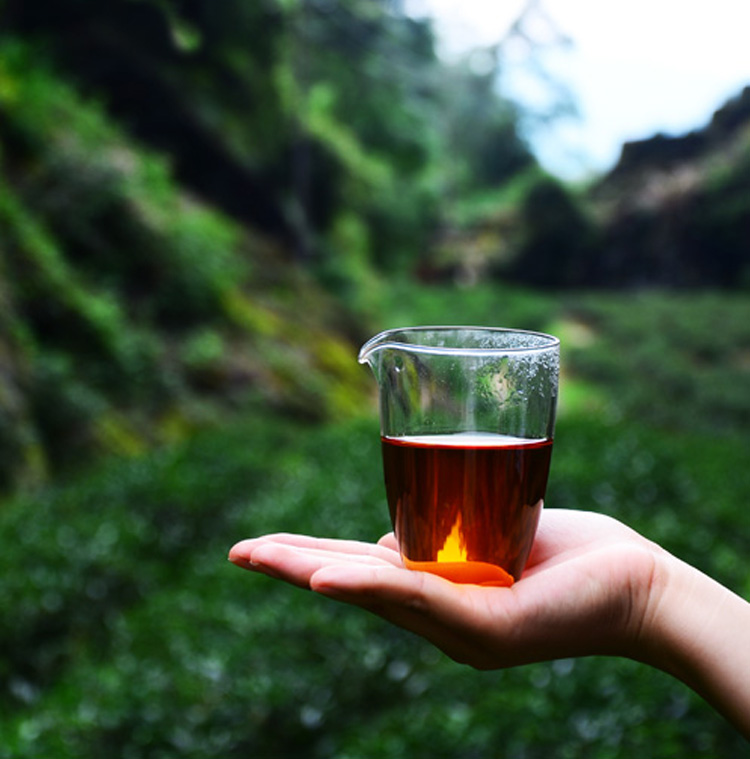 正岩核心牛栏坑肉桂 武夷岩茶大红袍乌龙茶叶私房茶 特级礼品