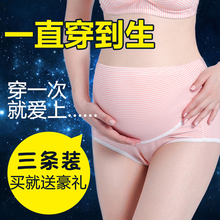 透气孕晚期托腹高腰短裤 夏季 内衣秋装 纯棉里裆怀孕期薄款 孕妇内裤